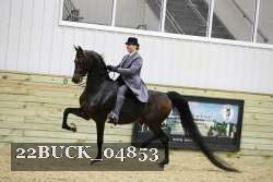 22BUCK_04853 proof