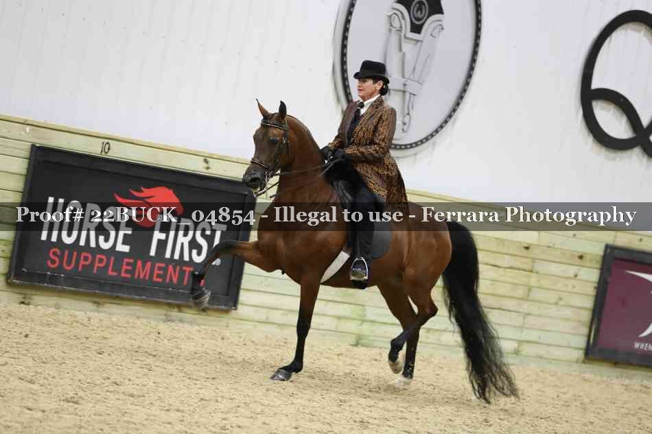 Proof 22BUCK_04854