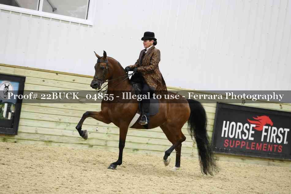 Proof 22BUCK_04855