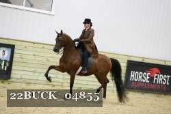 22BUCK_04855 proof