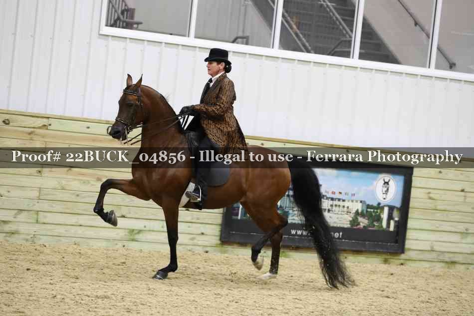 Proof 22BUCK_04856