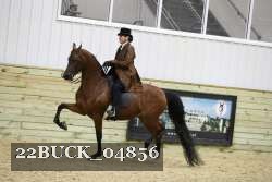 22BUCK_04856 proof