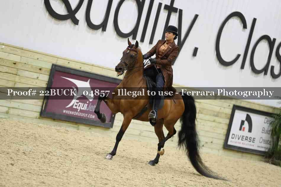 Proof 22BUCK_04857