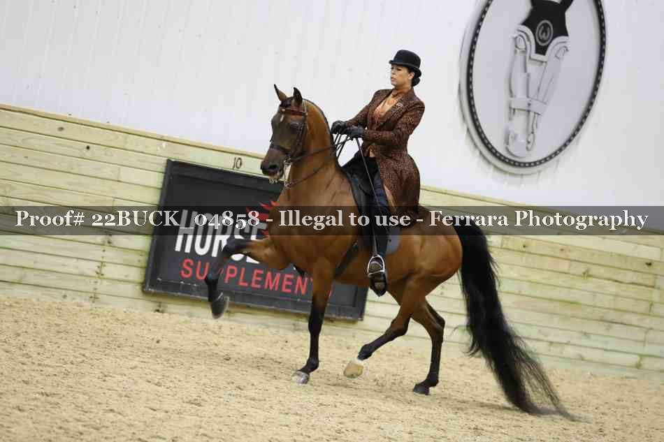 Proof 22BUCK_04858