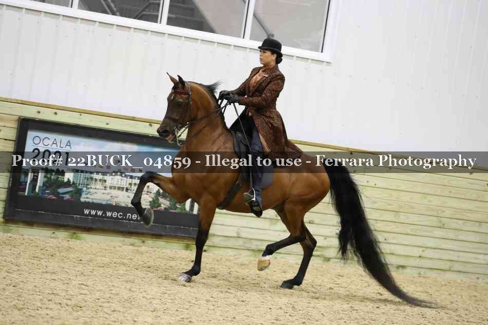 Proof 22BUCK_04859