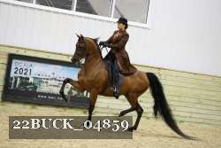 22BUCK_04859 proof