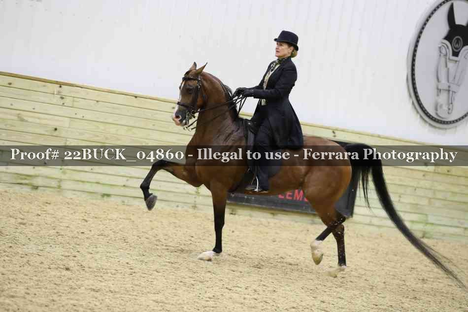 Proof 22BUCK_04860