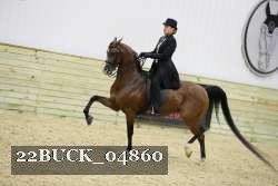 22BUCK_04860 proof