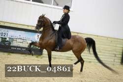 22BUCK_04861 proof