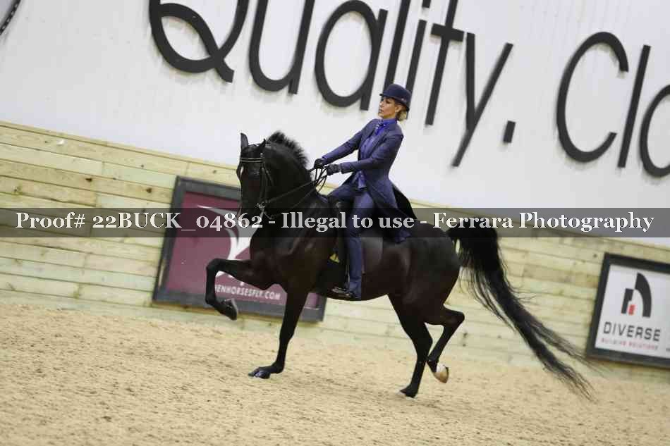 Proof 22BUCK_04862