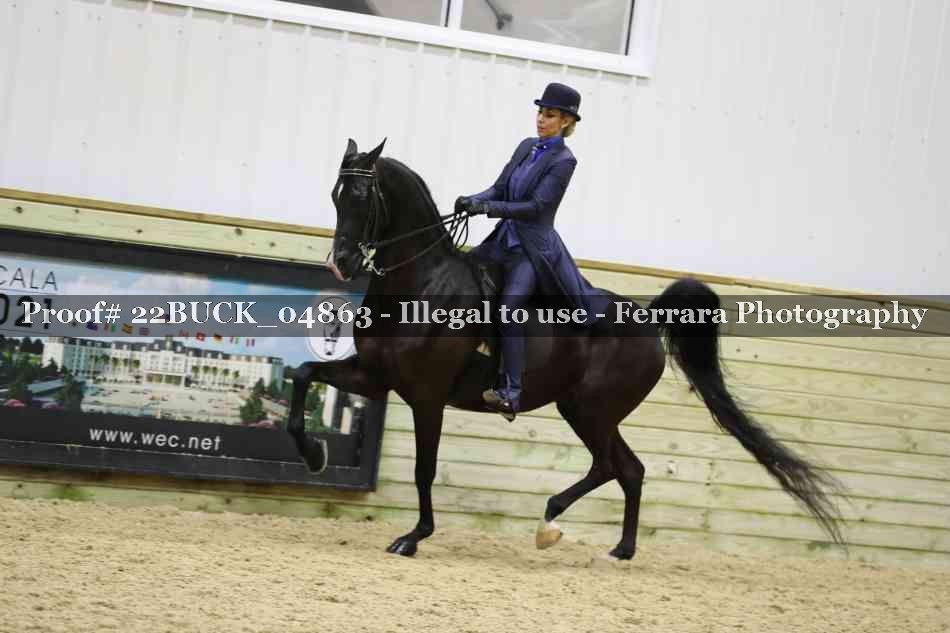 Proof 22BUCK_04863