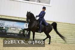 22BUCK_04863 proof