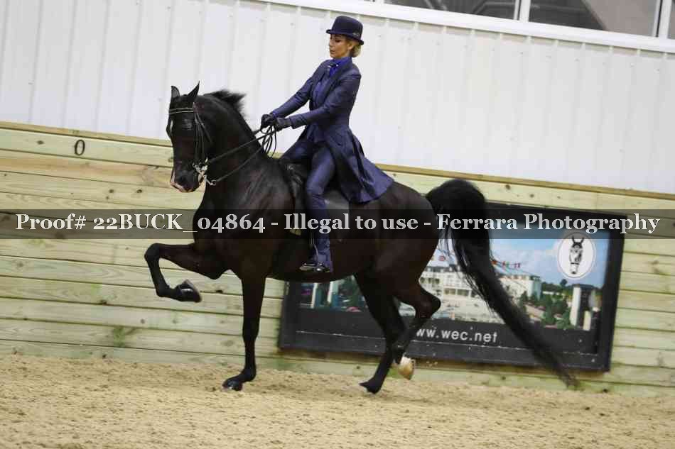 Proof 22BUCK_04864
