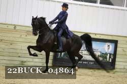 22BUCK_04864 proof