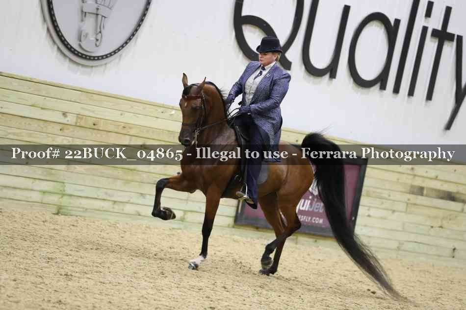 Proof 22BUCK_04865