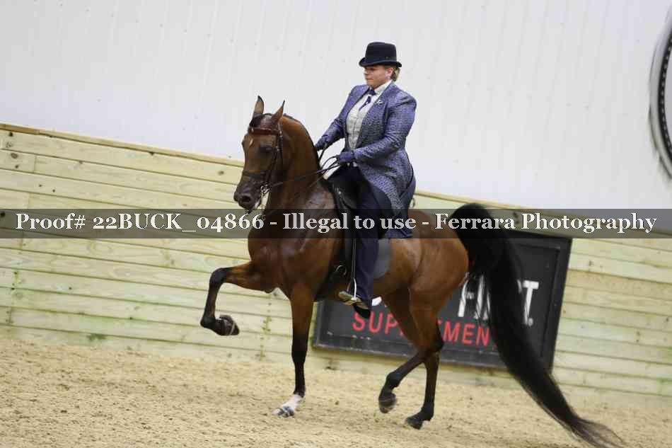 Proof 22BUCK_04866