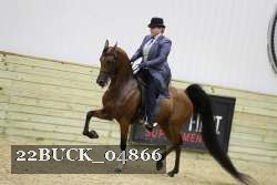 22BUCK_04866 proof