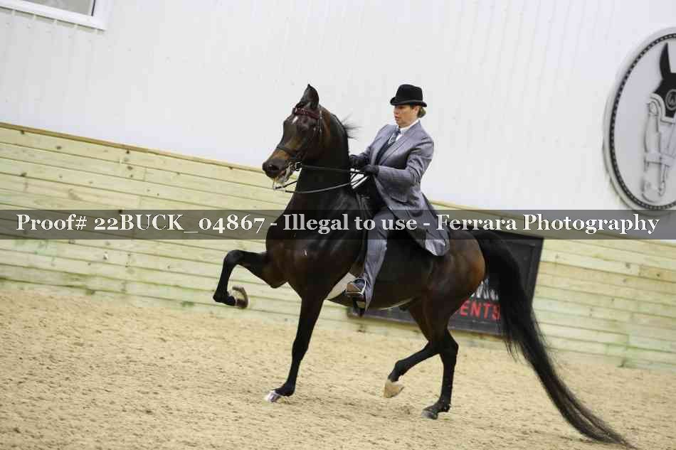 Proof 22BUCK_04867