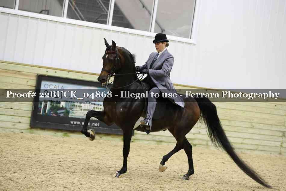 Proof 22BUCK_04868