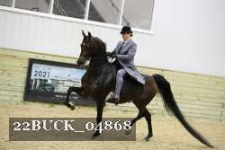 22BUCK_04868 proof