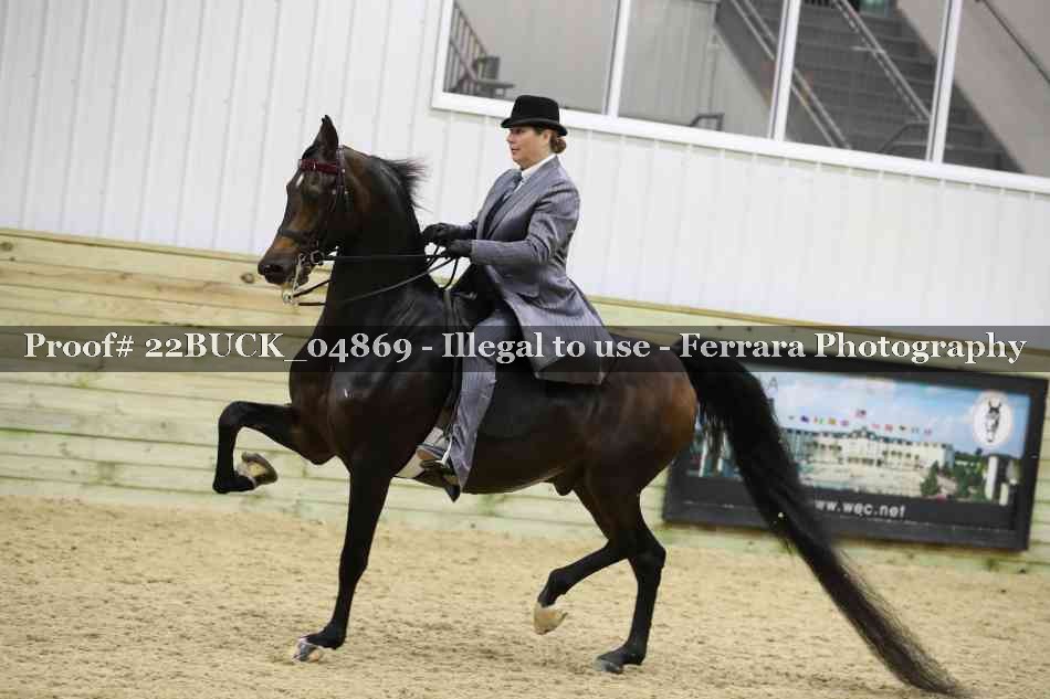 Proof 22BUCK_04869