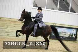 22BUCK_04869 proof