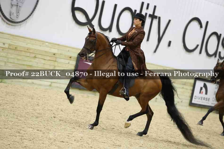 Proof 22BUCK_04870
