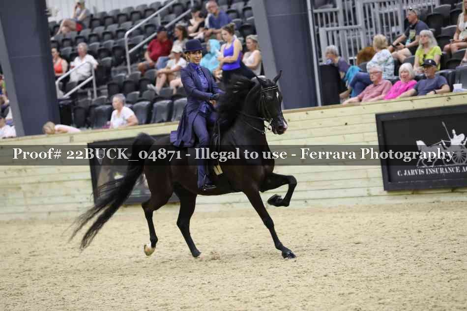 Proof 22BUCK_04871