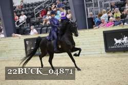 22BUCK_04871 proof