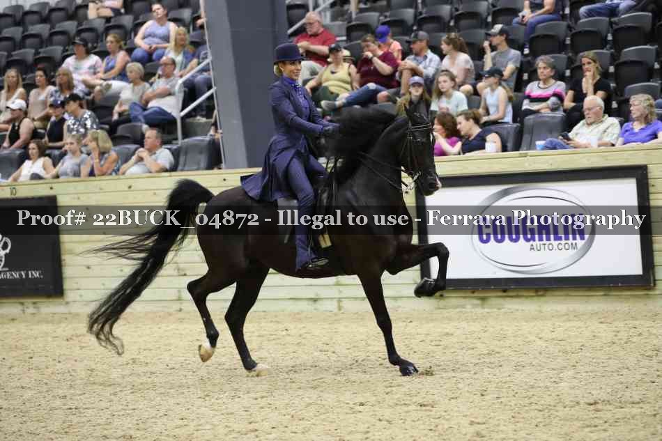 Proof 22BUCK_04872