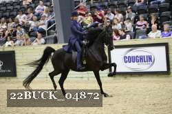 22BUCK_04872 proof