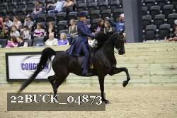 22BUCK_04873 proof
