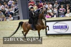 22BUCK_04874 proof