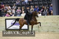 22BUCK_04875 proof