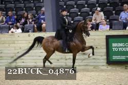 22BUCK_04876 proof