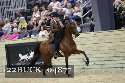22BUCK_04877 proof