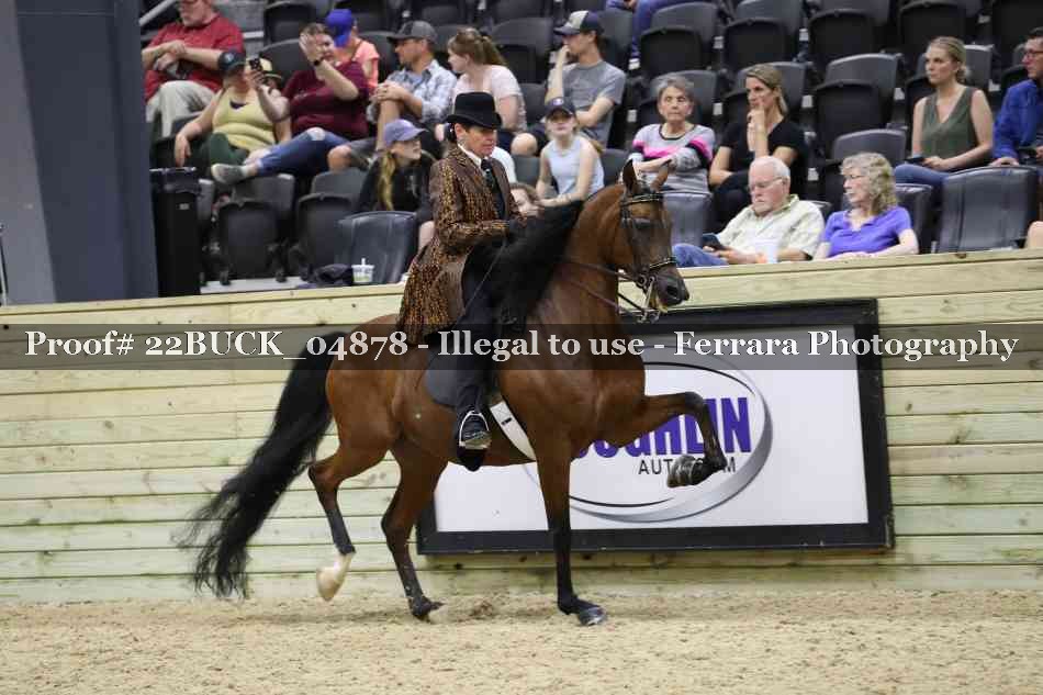 Proof 22BUCK_04878