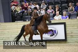 22BUCK_04878 proof