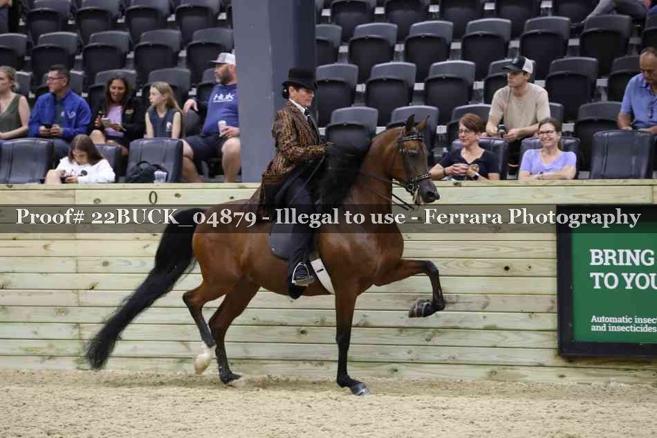 Proof 22BUCK_04879