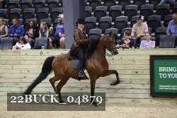 22BUCK_04879 proof
