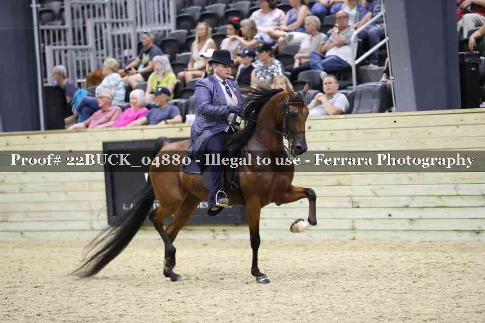 Proof 22BUCK_04880