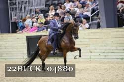 22BUCK_04880 proof