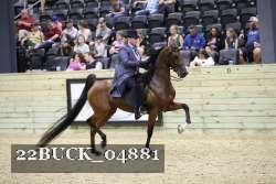 22BUCK_04881 proof