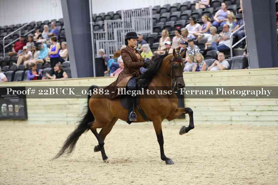 Proof 22BUCK_04882