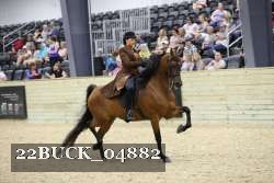 22BUCK_04882 proof