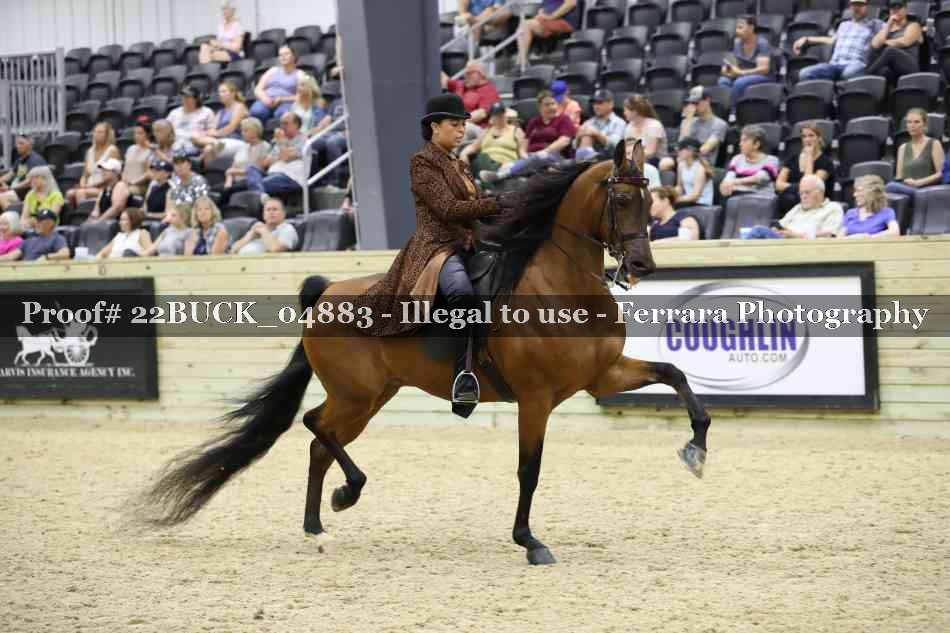 Proof 22BUCK_04883