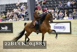22BUCK_04883 proof
