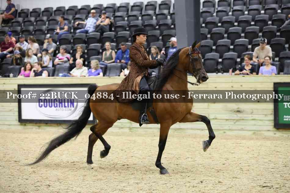 Proof 22BUCK_04884
