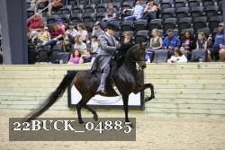 22BUCK_04885 proof