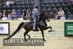 22BUCK_04886 proof